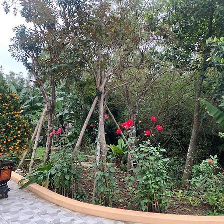 Tre Xanh Homestay Ninh Binh Exterior photo