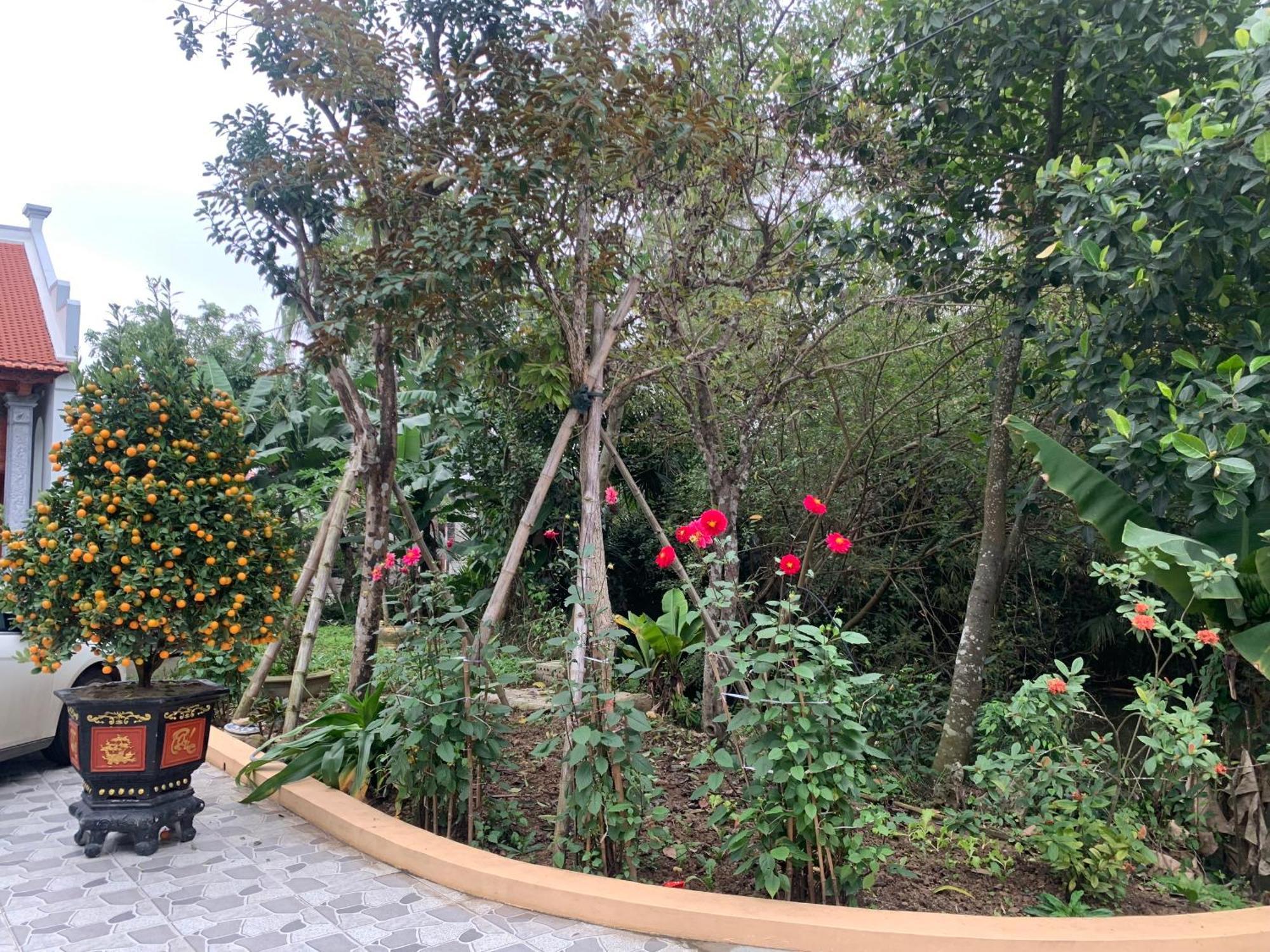 Tre Xanh Homestay Ninh Binh Exterior photo