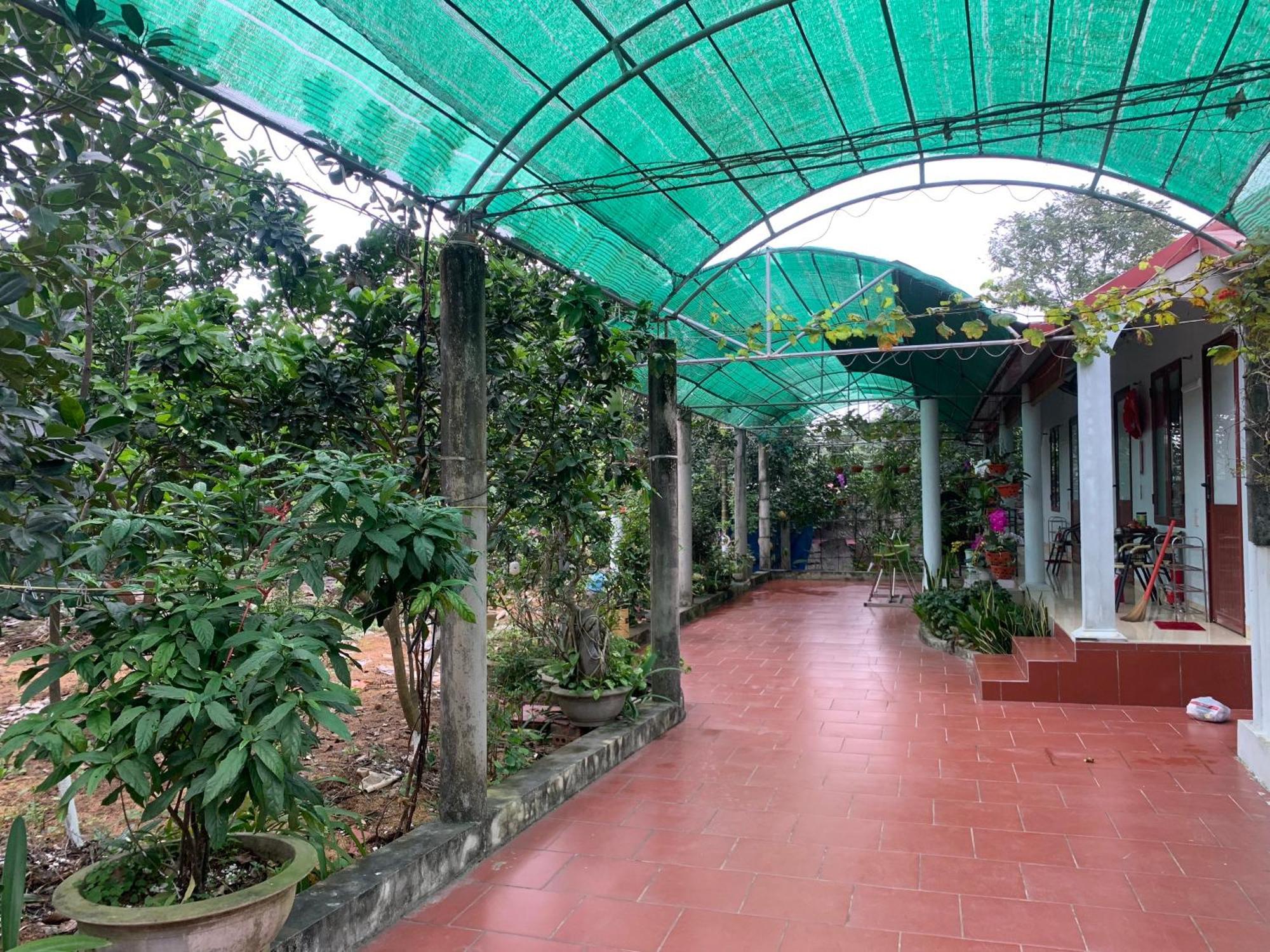 Tre Xanh Homestay Ninh Binh Exterior photo
