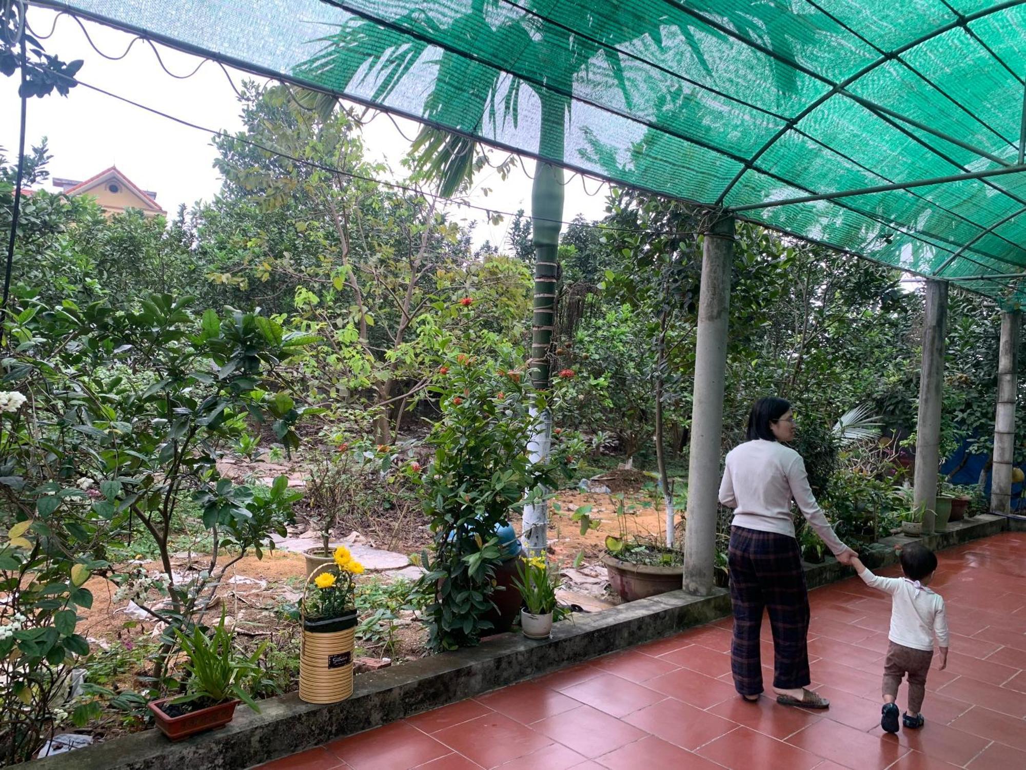 Tre Xanh Homestay Ninh Binh Exterior photo