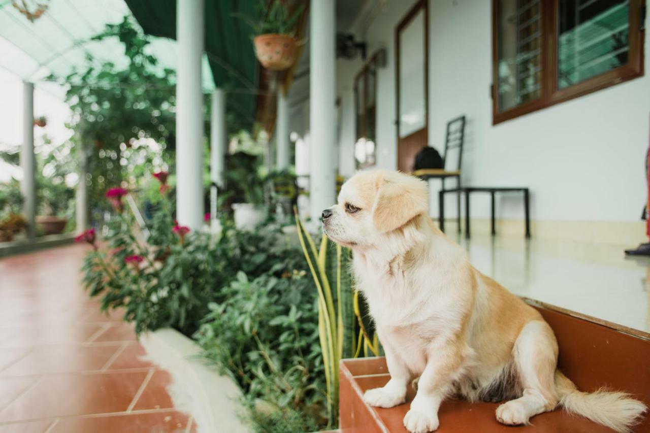 Tre Xanh Homestay Ninh Binh Exterior photo